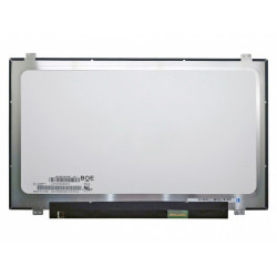 Matrica 14.0" 1920x1080 FHD, LED, IPS, SLIM, matinė, 30pin (dešinėje), A+
