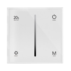 T1-1 sieninis LED valdiklis 12-48VDC, 2 kanalų, 1 spalvos, RF