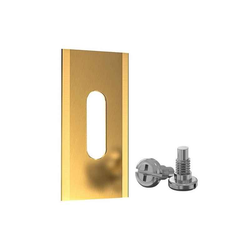 Automatinės vejapjovės peiliukai, 35x18x0.6 mm, padengti titanu, 30vnt.